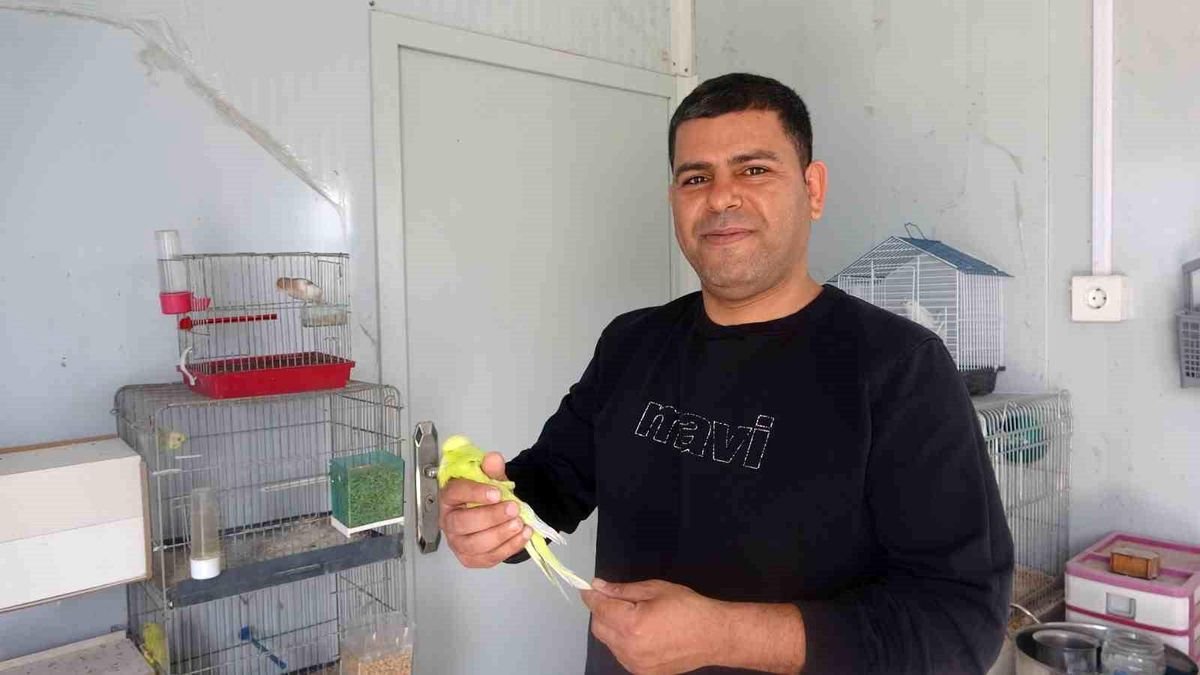 13 yaşında başlayan kuş tutkusu 30 yıldır sürüyor