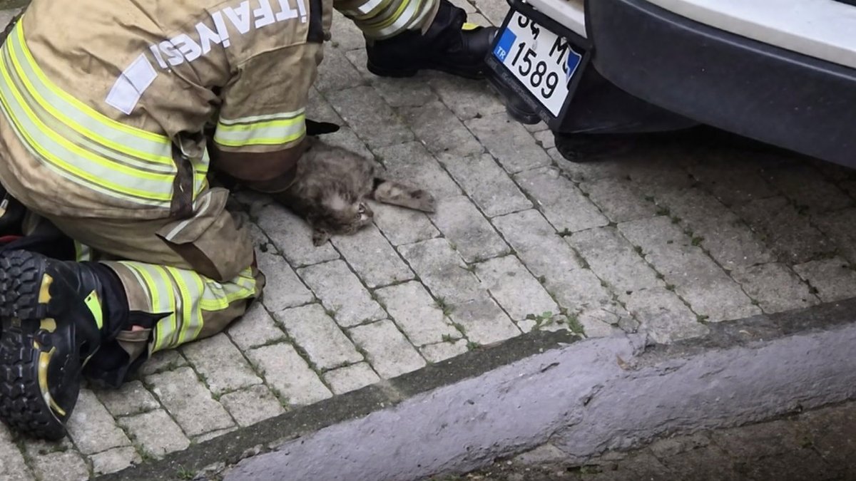 Adana’da Yangından Kurtarılan Kediye İtfaiyeden Hayat Veren Müdahale