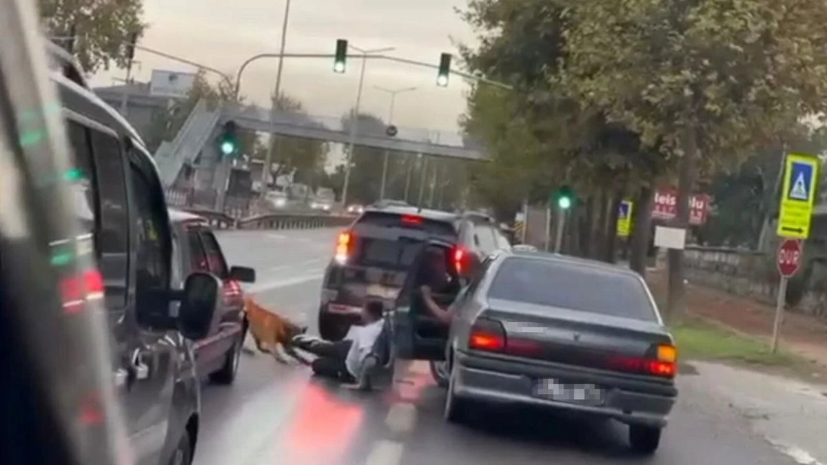 Adapazarı’nda Zinciri Kopuk Köpek Yoldaki Vatandaşa Saldırdı
