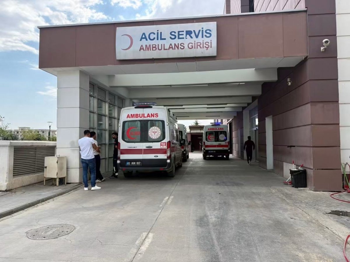 Adıyaman'da Sokak Köpeğinin Saldırdığı 7 Yaşındaki Çocuk Hastaneye Kaldırıldı