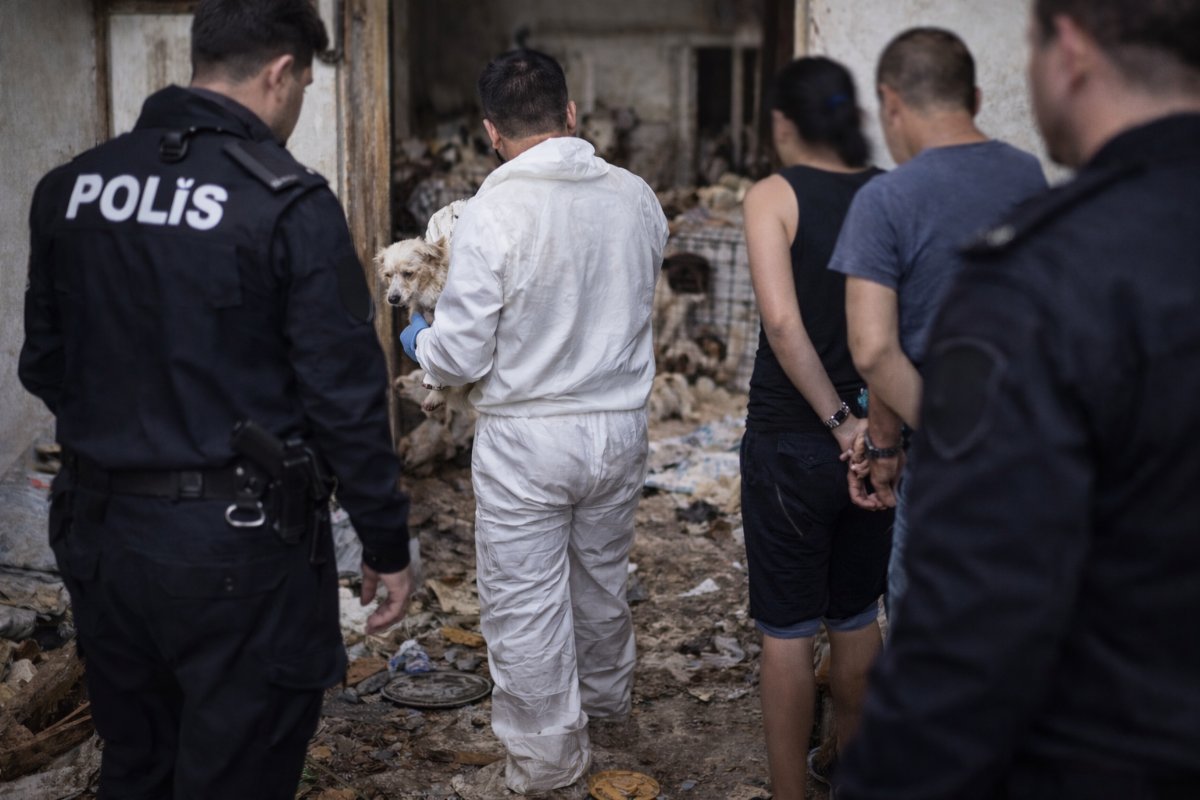 Alanya’da Dehşet Evine Baskın: Hayvanlar Kurtarıldı, 2 Gözaltı