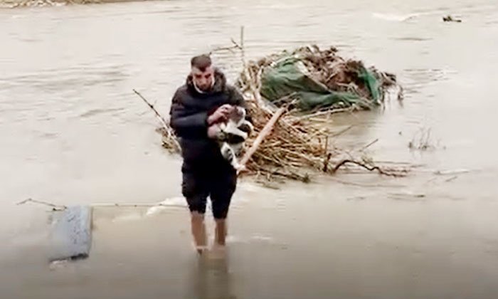 Alanya’da Dimçayı’nda Mahsur Kalan Kedi Vatandaşın Müdahalesiyle Kurtarıldı
