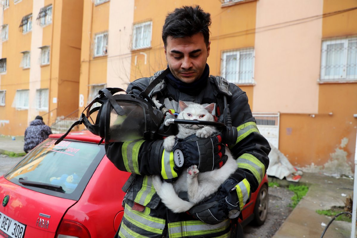 Alevlerin İçinden Mucize: İtfaiye Hamile Kediyi Son Anda Kurtardı
