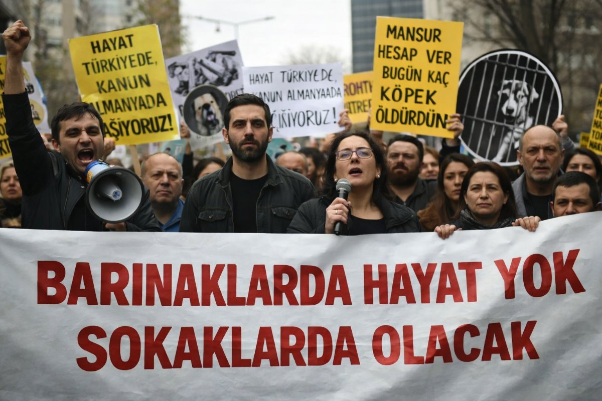 Ankara’da Sokak Hayvanları Yasasına Tepki: “Toplumsal Barış Tehlikede”
