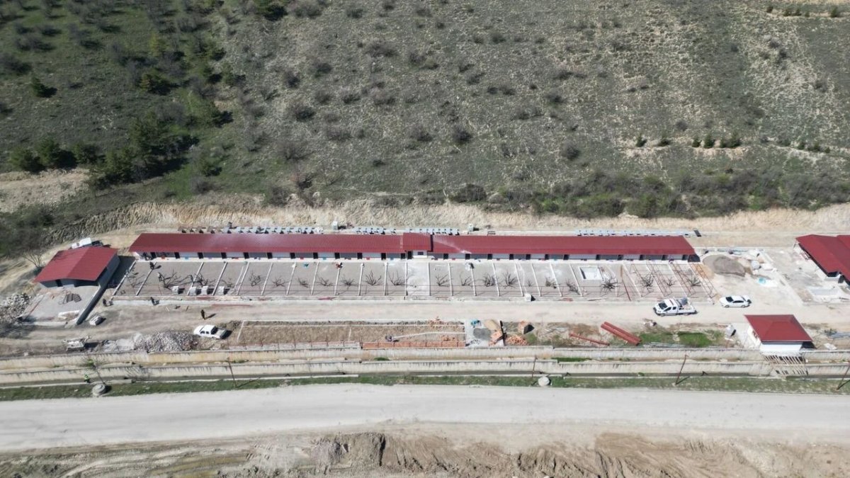 Ankara’ya Dev Evcil Hayvan Parkı: Açılış İçin Geri Sayım