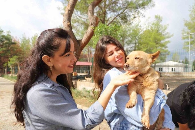 Antalya Aksu’da Yangından Kurtarılan 10 Kedi ve Köpek Sahiplendirildi