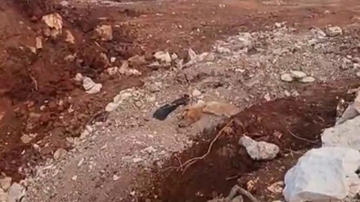 Antalya’da Bakımevi Yakınında Toplu Köpek Mezarı İddiası: Resmi İnceleme İstendi