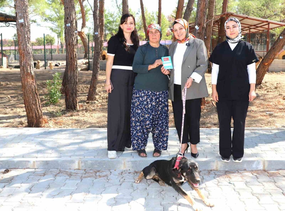 Antalya’daki Orman Yangınından Etkilenen ‘Kopi’ Yeni Yuvasına Kavuştu