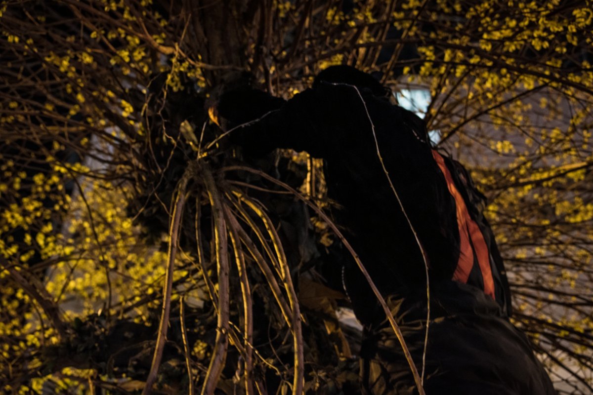 Batman’da Gece Yarısı Seferberliği: Yavru Kedileri İçin Çaresizce Miyavlayan Anne Kurtarıldı