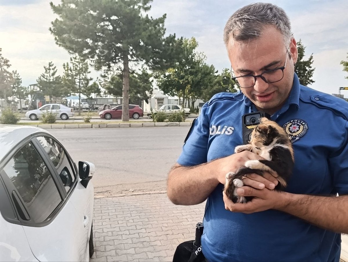 Beyşehir’de Motor Bölümüne Giren Yavru Kediyi Telefon Sesiyle Kurtardılar