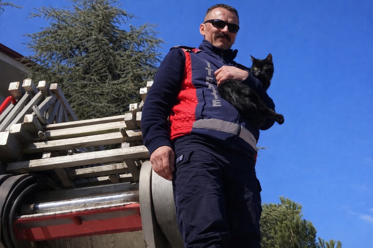 Bilecik’te Ağaçta Mahsur Kalan Kedi İtfaiyenin Müdahalesiyle Kurtarıldı