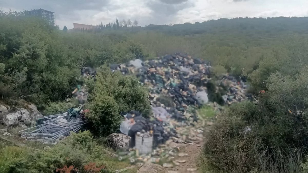 Bilecik’te Kamu Arazisinde Şok Görüntü: Hurda Yığınları, Hayvan Leşleri ve Hasta Köpekler Tespit Edildi