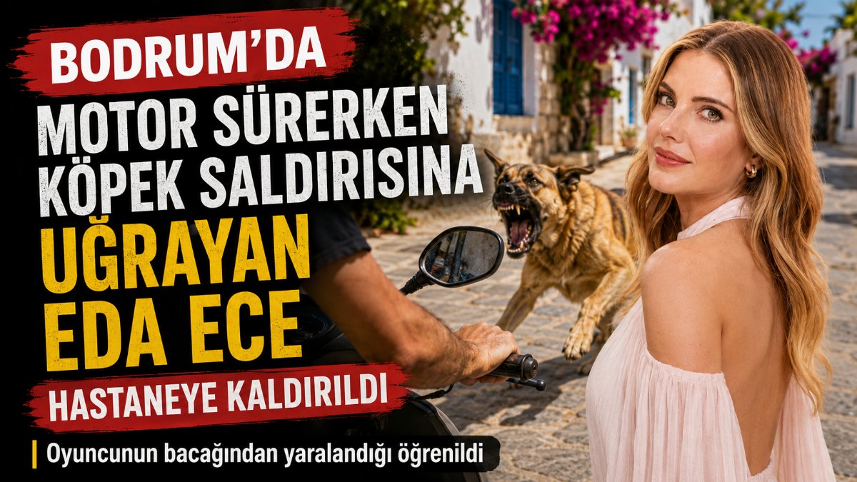 Bodrum'da köpek saldırısına uğrayan Eda Ece hastaneye kaldırıldı