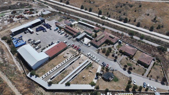 Bolu'da 621 can dost yeni yuvasına kavuştu: Belediyeden “Satın alma, sahiplen” çağrısı
