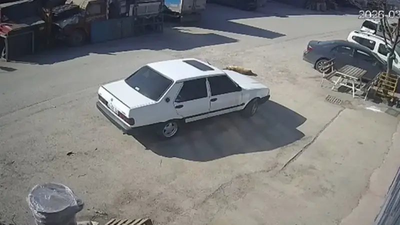 Bolu’da Otomobil Yolda Yatan Köpeğin Üzerinden Geçti