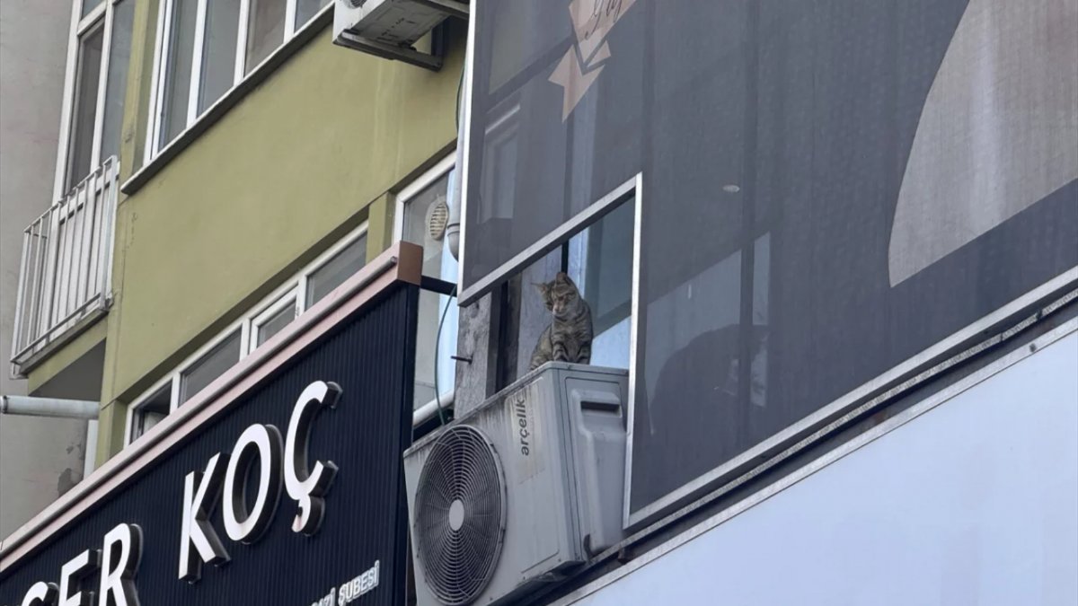 Bursa'da Kediyi Kurtarmak İsterken Pencereden Düştü: Hayati Tehlikesi Var