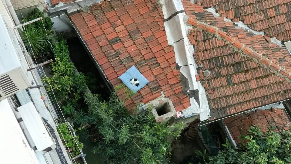 Çatıya Düşen Köpek Yastığı, Günler Sonra Bir Kedinin Yatağı Oldu