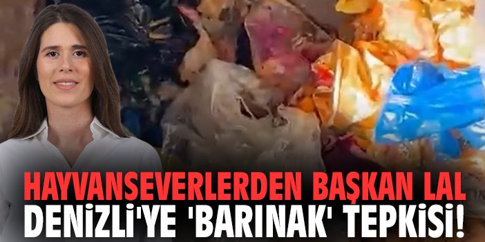 Çeşme’de barınak iddiaları tepki çekti
