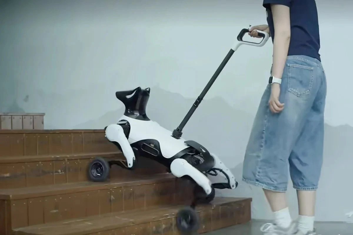 Çin’den Görme Engelliler İçin Robot Rehber Köpek: Xiaoyuan Tanıtıldı