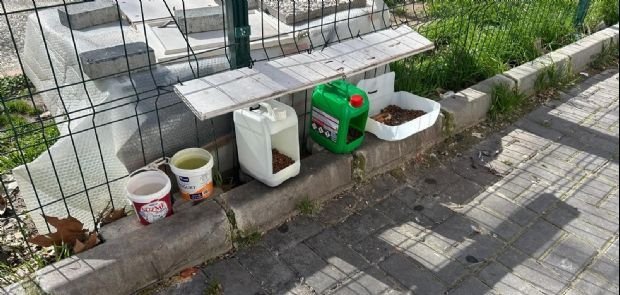 Çorlu’da Duyarlı Vatandaşlardan Sokak Hayvanlarına Anlamlı Destek