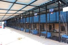 Didim Belediyesi Mama Fabrikası’nda Haftalık Üretim 1 Tona Çıktı