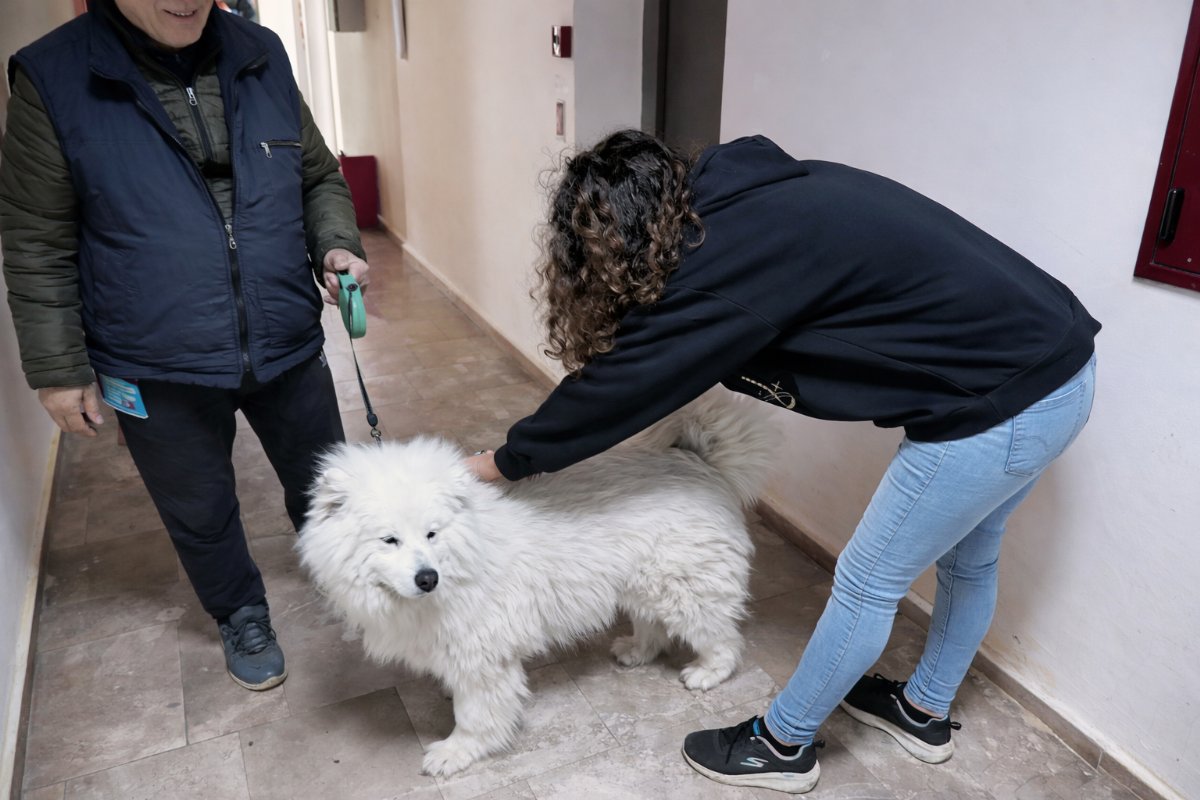 Didim’de Kedi ve Köpeklere Kuduz Aşısı