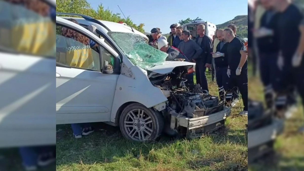 Diyarbakır'da Otomobilin Motorunda Doğan Yavru Kedileri İtfaiye Kurtardı