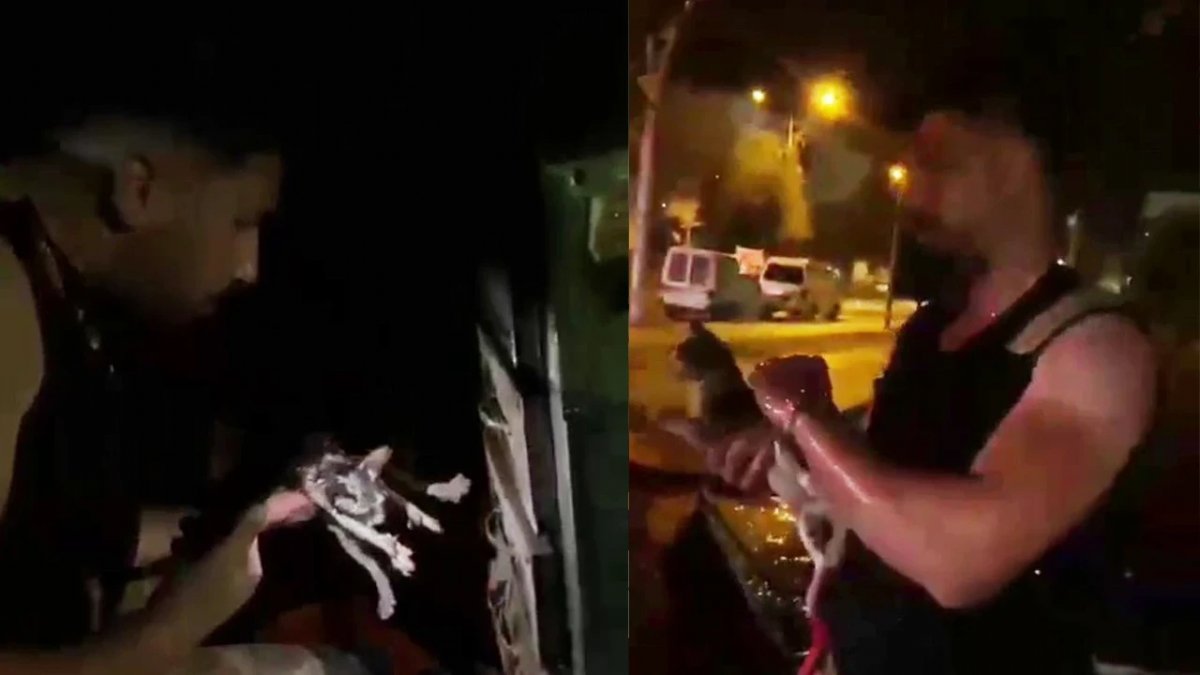 Diyarbakır'daki büfe yangınında mahsur kalan kedi kurtarıldı