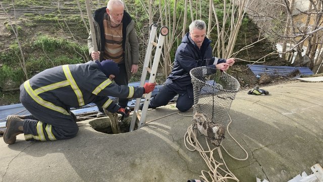 Edirne’de Su Deposuna Düşen Yavru Köpek 6 Saatlik Operasyonla Kurtarıldı