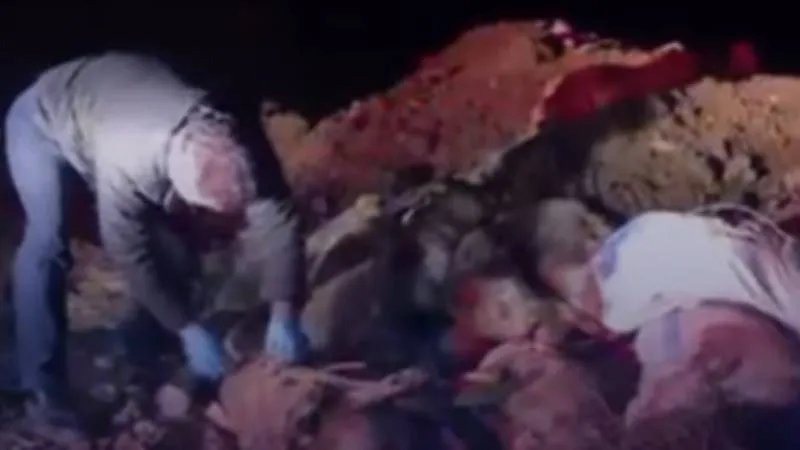 Edremit’te Korkunç Manzara: Çöplükte Onlarca Sokak Köpeği Ölü Bulundu