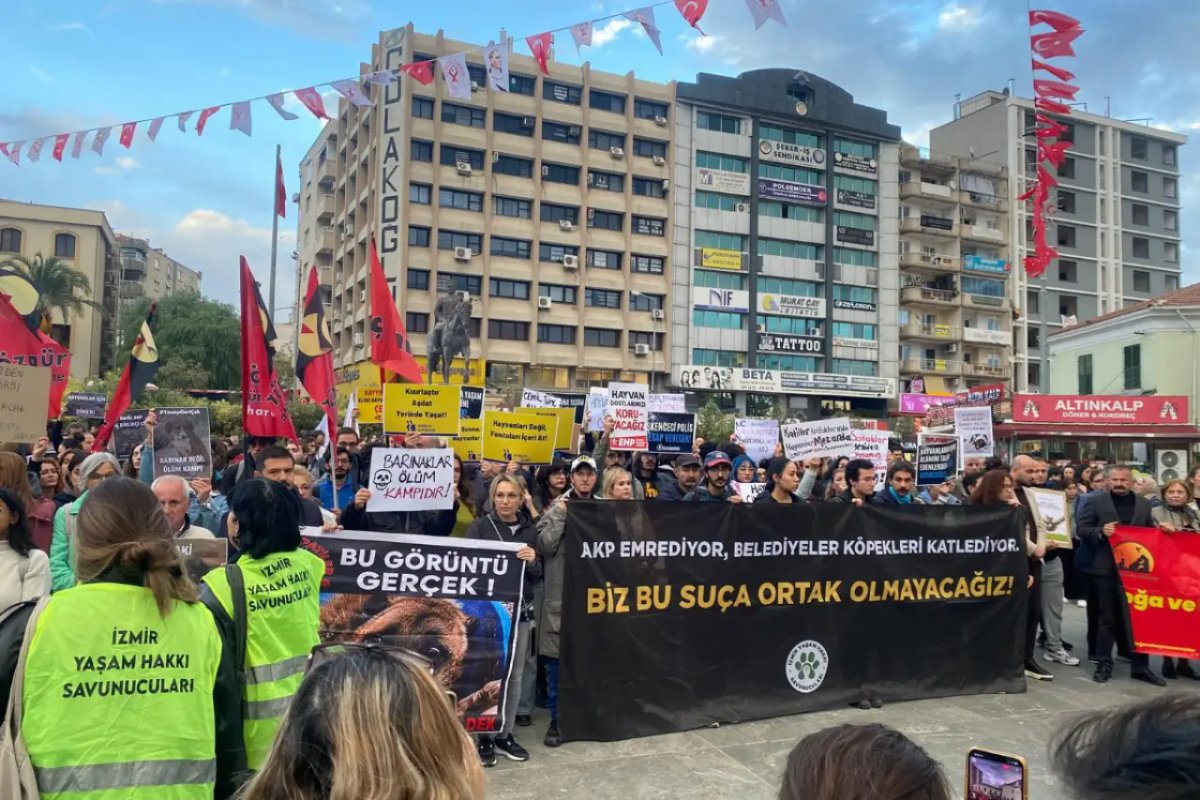 Ege Üniversitesi'nde 160 Köpeğin Toplatılmasına İzmir'de Protesto