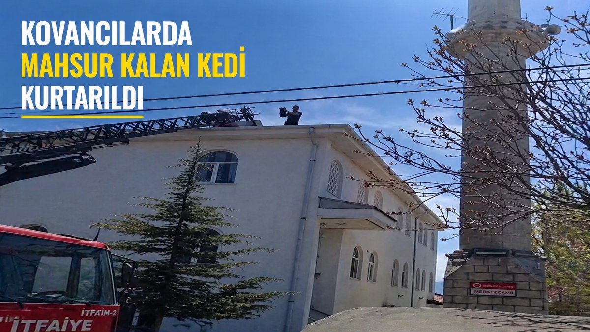 Elazığ’da Cami Çatısında Mahsur Kalan Kedi Ekiplerin Müdahalesiyle Kurtarıldı