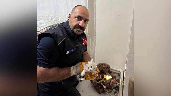 Elazığ’da havalandırma boşluğuna düşen yavru kedi kurtarıldı