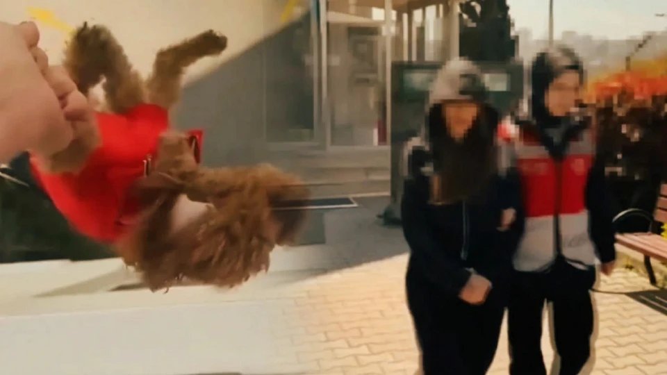 Esenyurt’ta Tepki Çeken Görüntü: Köpeği Pencereden Sarkıttığı İddia Edilen Kadın Gözaltına Alındı