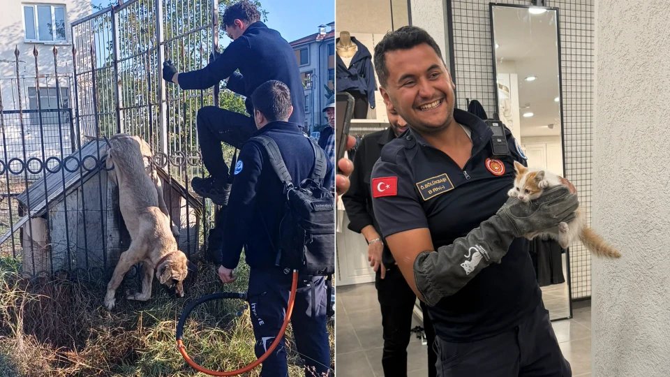 Eskişehir'de İtfaiyeden İki Hayvan Kurtarma Operasyonu: Kedi ve Köpek Kurtarıldı