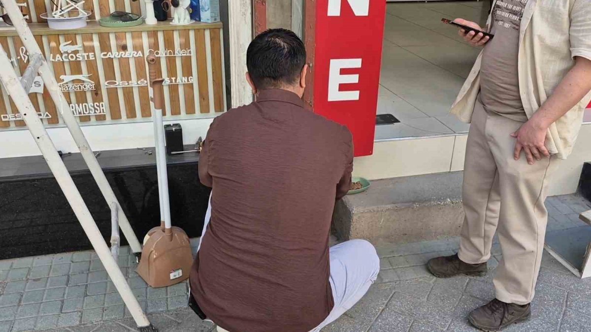 Esnafın dikkati yavru kediyi kurtardı