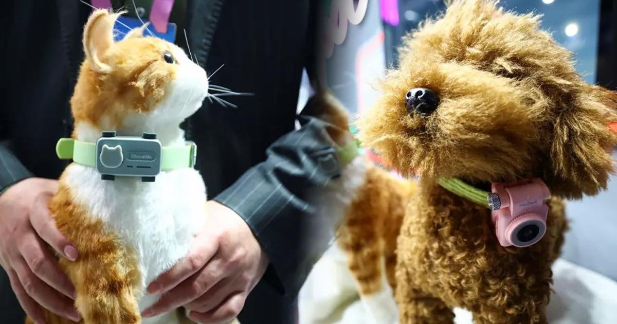 Evcil Hayvanlara Akıllı Telefon: PetPhone Mobil Dünya Kongresi’nde Tanıtıldı