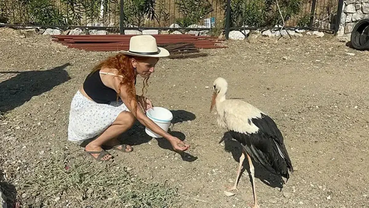 Fethiye’de Göç Yolunda Mola Veren Leylek Bir Haftadır Aynı Bahçede