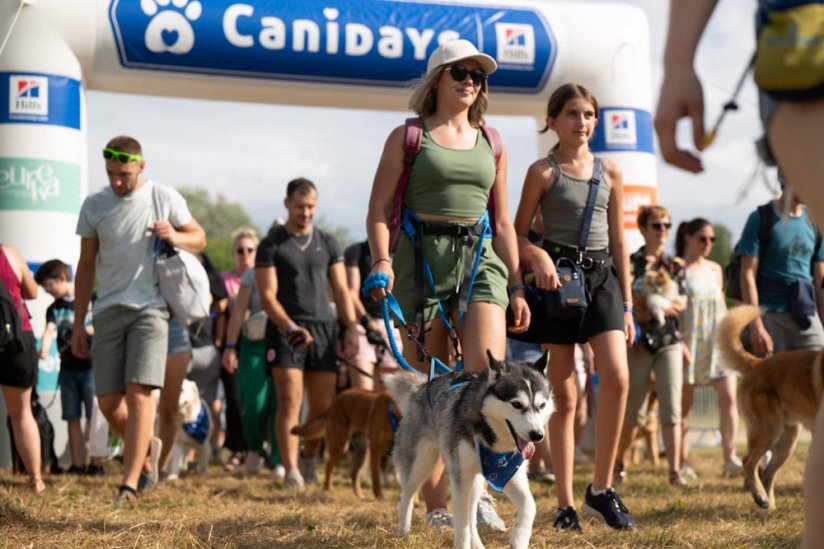 Fransa’da Köpek Sahiplerine Özel Dev Buluşma: Canidays 2026 Yvelines’te Doğayla İç İçe Festival