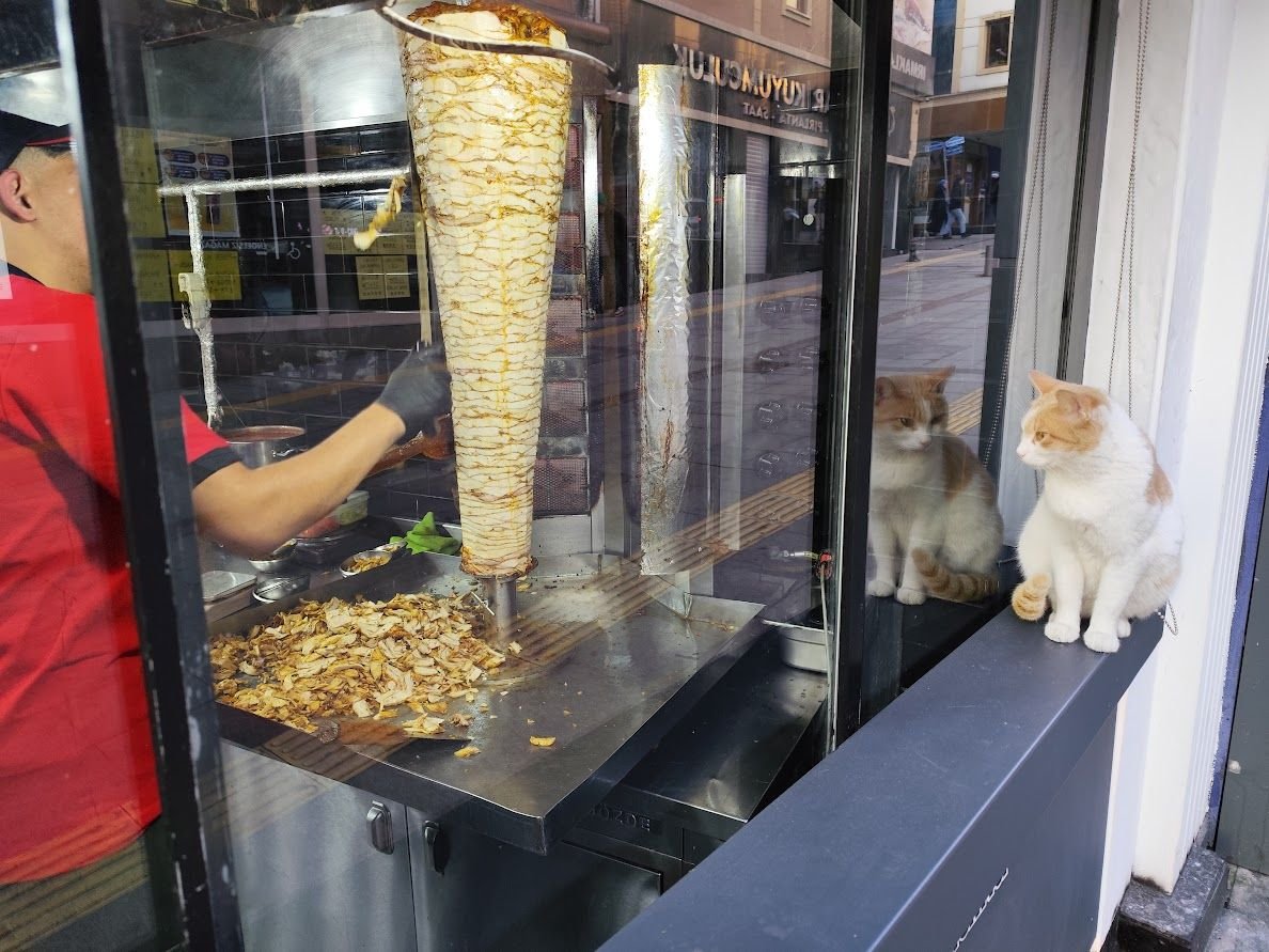 Giresun’da Dönerci Önünde Bekleyen Sokak Kedisi Gülümsetti