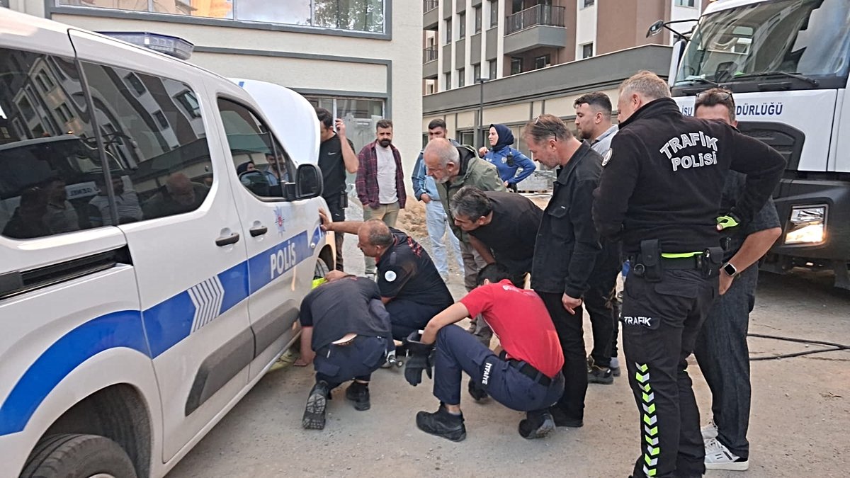 Gölcük’te Yavru Kediyi Kurtarma Mesaisi: Polis Aracından Çıktı, Başka Araca Kaçtı