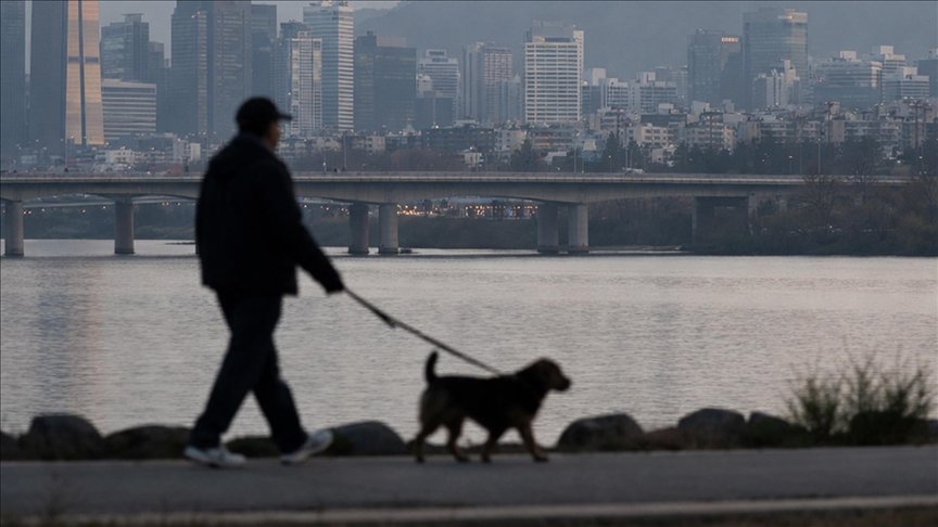 Güney Kore’de Evcil Hayvan Oranı Yüzde 29’a Ulaştı