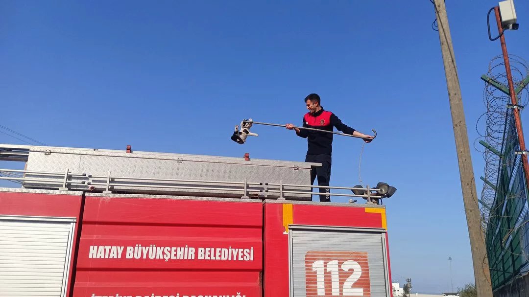 Hatay’da Direğin Tepesinde Mahsur Kalan Kedi İtfaiye Ekiplerince Kurtarıldı
