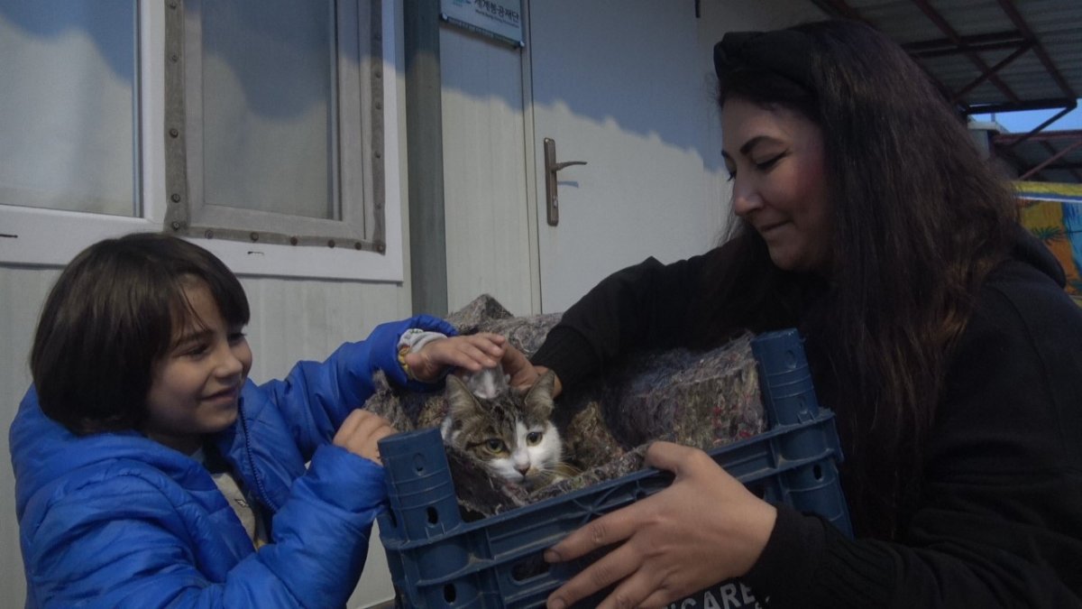 Hatay’da Yürek Isıtan Hikâye: Su Kanalından Kurtarılan Anne Kedi ve Yavruları Yuvaya Kavuştu