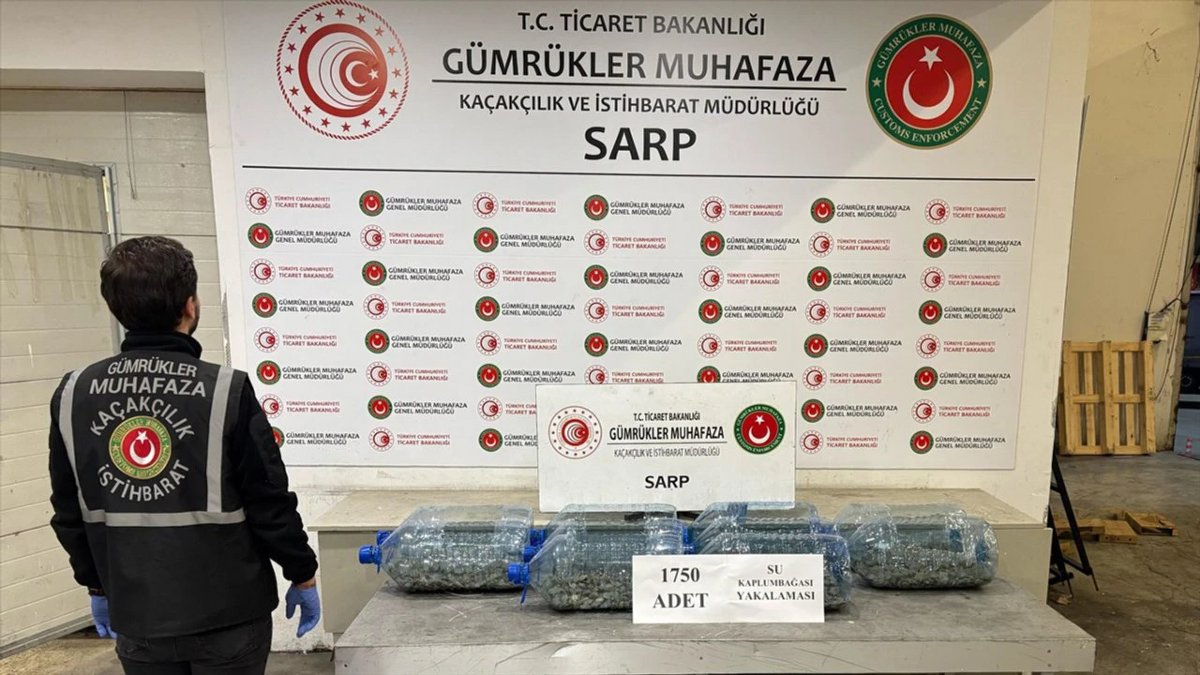 Gümrüklerde 85 Bin Canlı Hayvan Kaçakçılıktan Kurtarıldı