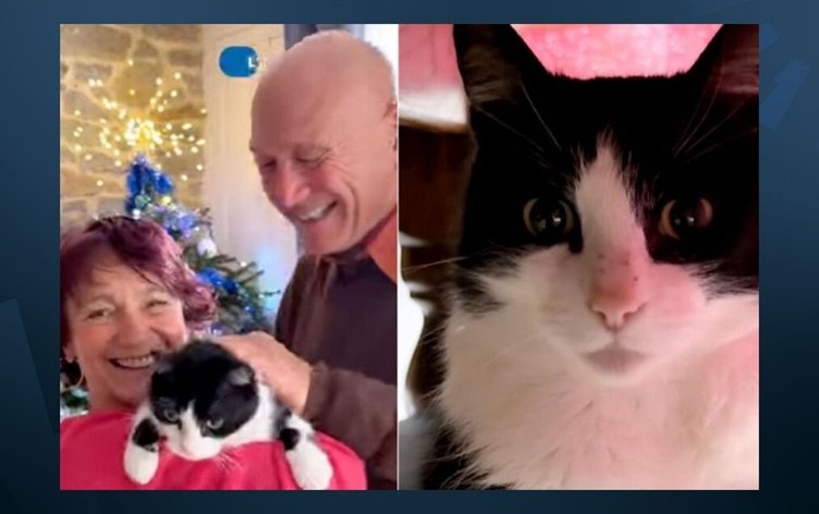 İspanya’da Kayboldu, 5 Ay Sonra 250 Kilometre Yürüyerek Fransa’daki Evine Döndü