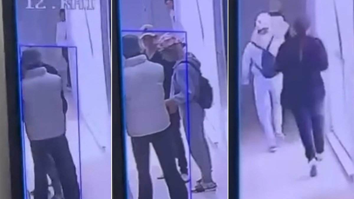 İstanbul’da Hırsızlara Geçit Vermeyen Kedi Mucize Evini Korudu