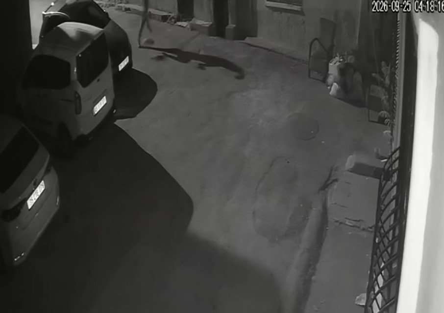 İzmir’de Köpeğe Şiddet Kamerada: Tekme Atıp Tasmasından Sürükledi