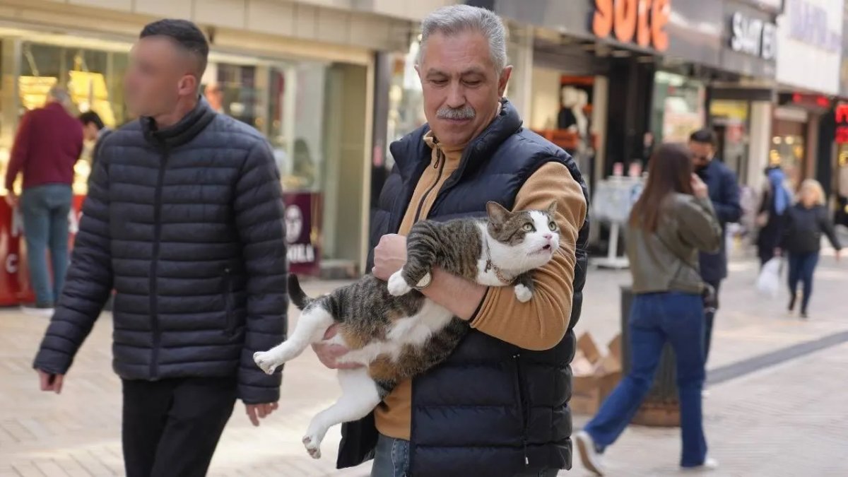 İzmit’in Maskotu Oldu: 10 Kiloluk “Prens” Çarşının Gözdesi
