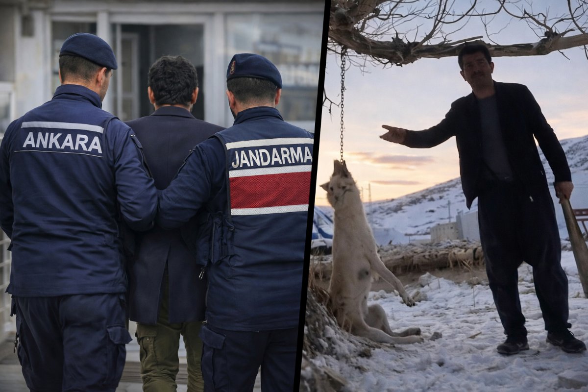 Kayseri’de Köpeği Asarak Öldüren Şahıs Gözaltına Alındı
